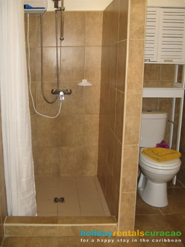 The Shower and toilet
