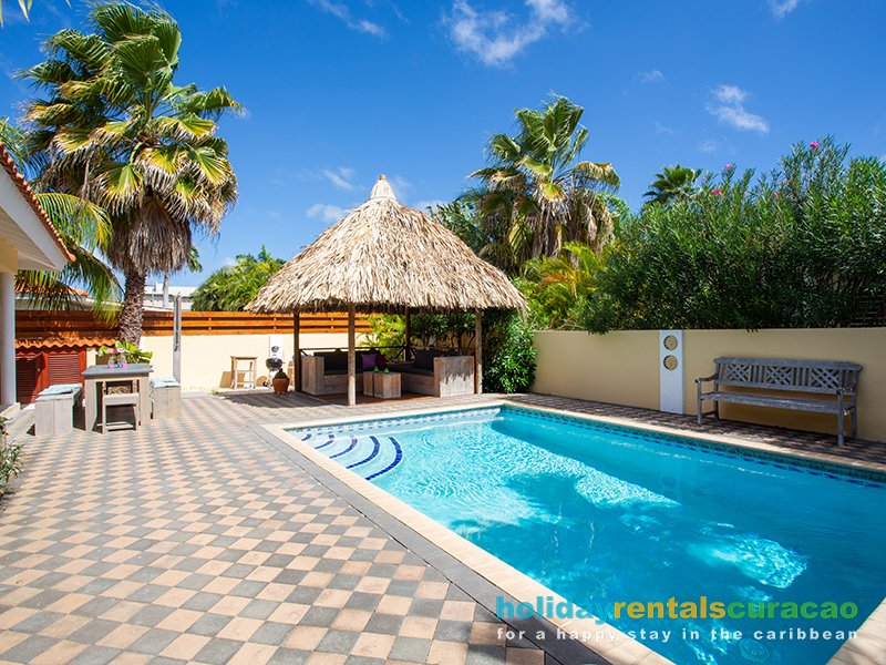 Relax by the pool under the palapa