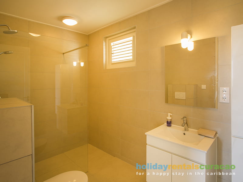 The second spacious bathroom with shower