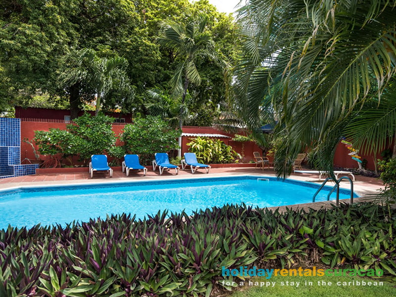 Shared pool in tropical garden with lots of privacy