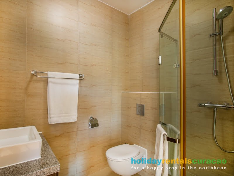 apartment rental with private bathroom