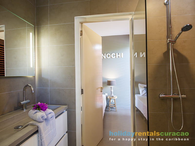 Modern Bathroom with shower