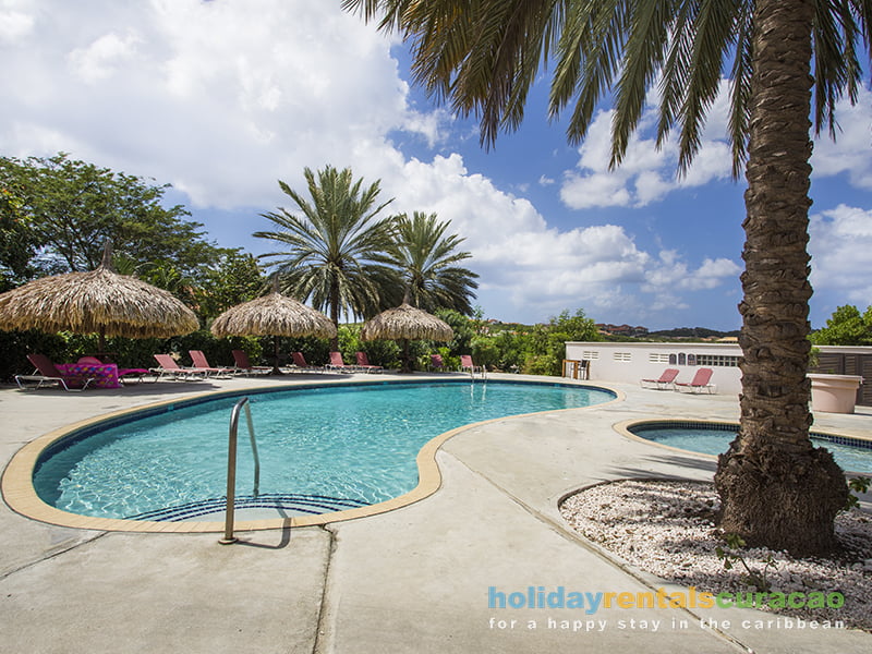 Large swimming pool with tropical palapas and plenty of lounge chairs.