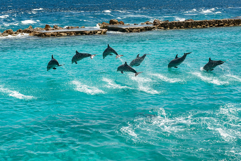 Activiteiten voor kinderen op Curacao