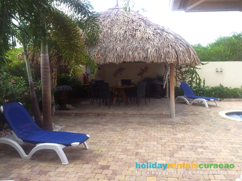 Large palapa by the pool